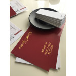 Pasaport tasarımlı davetiye
